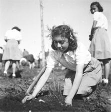 Tu BiShvat Celebration