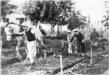 Young Refugees at the AMIT Youth Village, 1949 