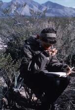 Barbara Myerhoff Takes Notes During a Peyote Hunt, 1966