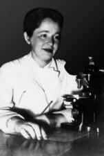 Gertrude Elion, circa 1946