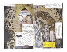 Collage by Lila Goldstein