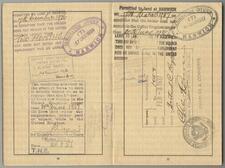 Dr. Gertrude Reyersbach's Passport, 1937