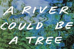 A River Could Be A Tree crop