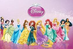 The Disney Princesses