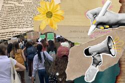 Collage of protest with a sunflower and a megaphone