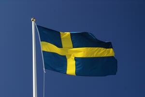 Swedish Flag