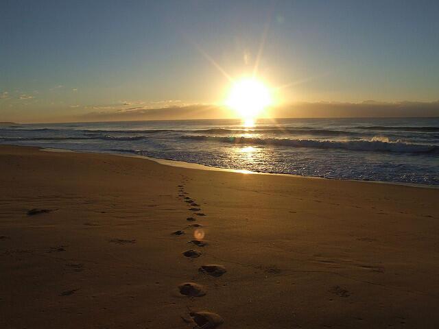 Image of Footprints