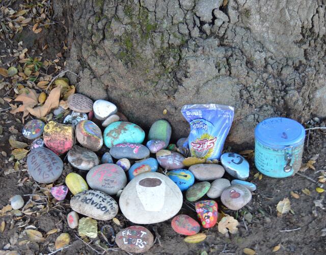 Decorated stones and sentimental items gathered in memory of Michael