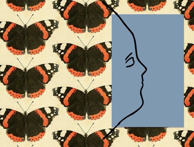 Illustration of Silhouetted Face Over Butterfly Background