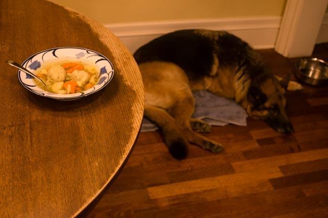 Cassie and the Vegetarian Matzoh Ball Soup