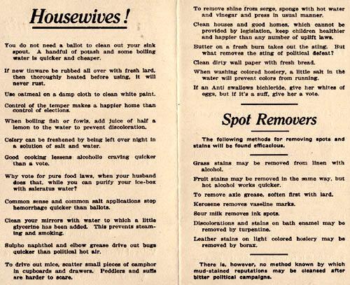 Pamphlet by the National Association Opposed to Woman Suffrage Part 2