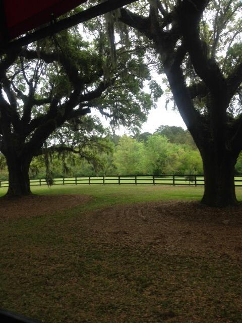 Charleston Plantation